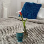 Przytulne Z Balkonem W Centrum Blisko Plazy By Renters