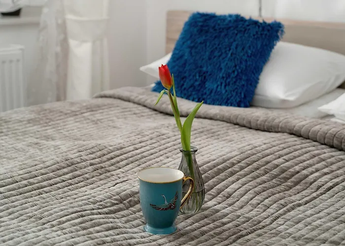 Przytulne Z Balkonem W Centrum Blisko Plazy By Renters